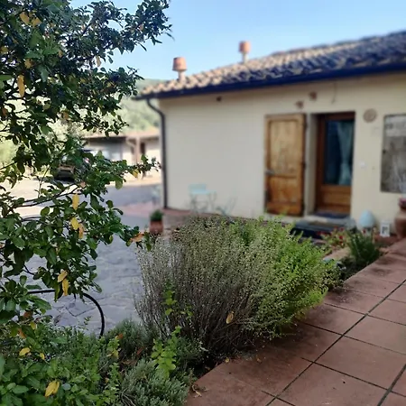 La Petite *